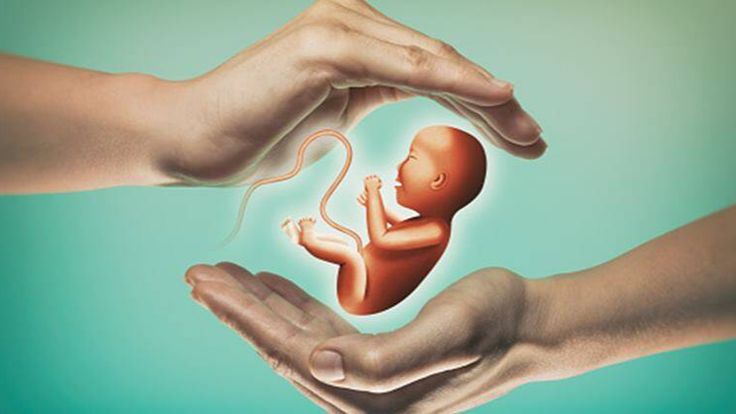 Doctor performing IUI fertility treatment on a female patient